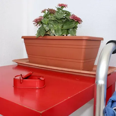 Casa vacanze L'anfora Punta Braccetto